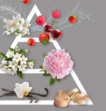 Pack B de 6 parfums de linge – 20 ML – Image 3